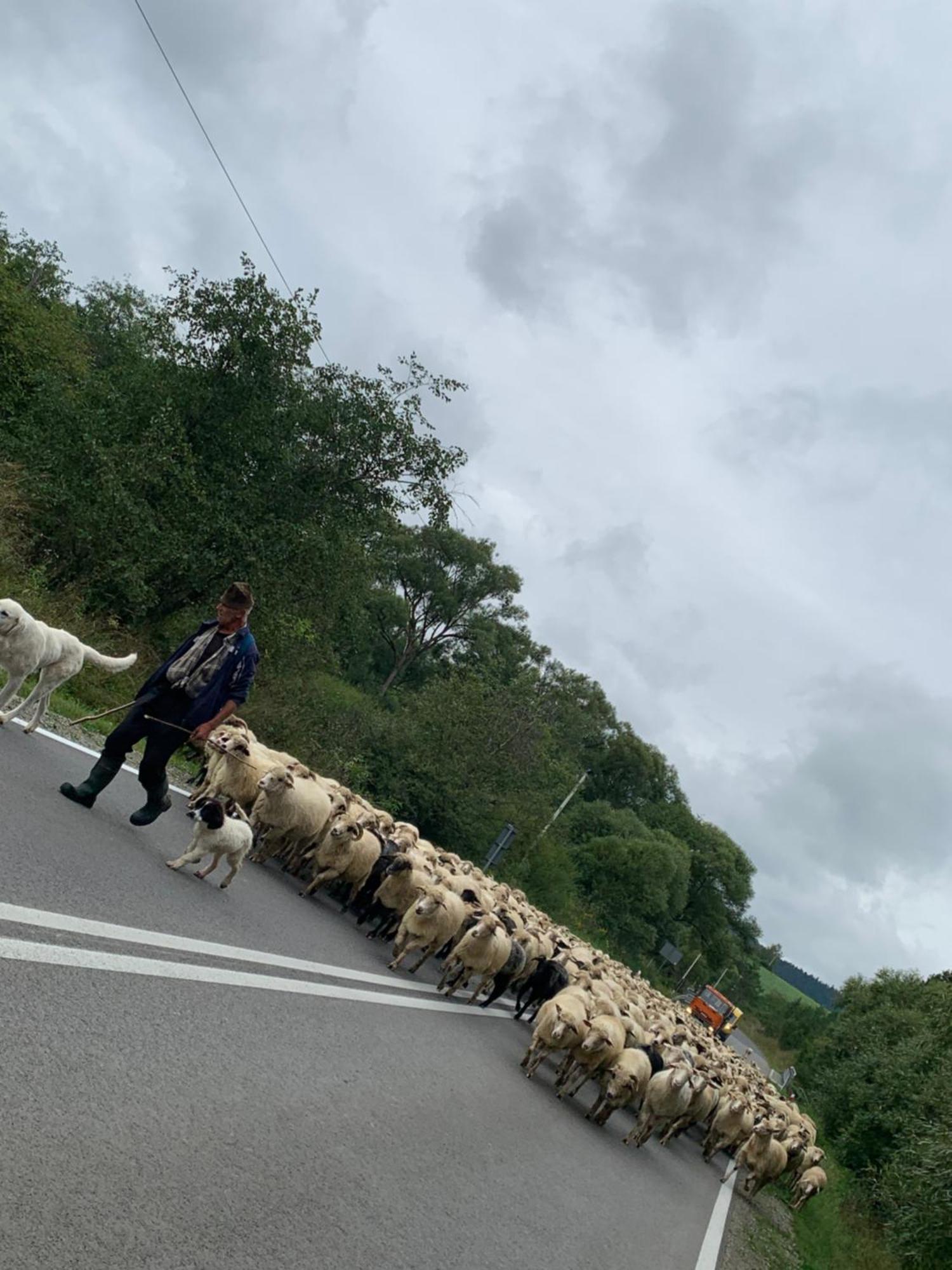 Agroturystyka Dor-Ali U Ali Zubracze Bagian luar foto